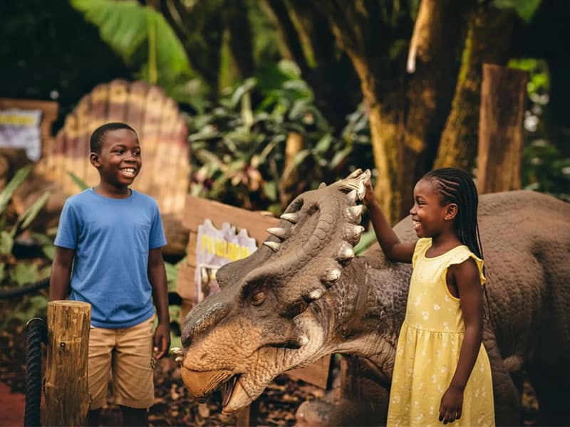 Vale dos Dinossauros Dreams Park Show